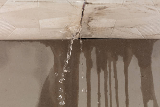 Professional Water Damage Inspection technician working in Ann Arbor, MI